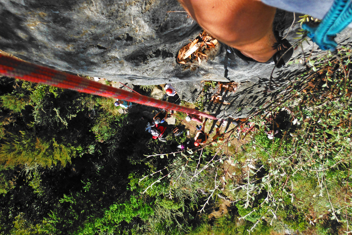 rock climbing in the Forrest, looking down at the ground. 